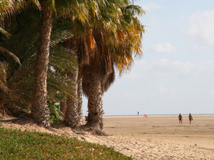 429269 - Fuerteventura