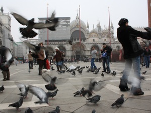 Piazza San Marco