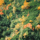 Tatry Wysokie - wrzesień 1992