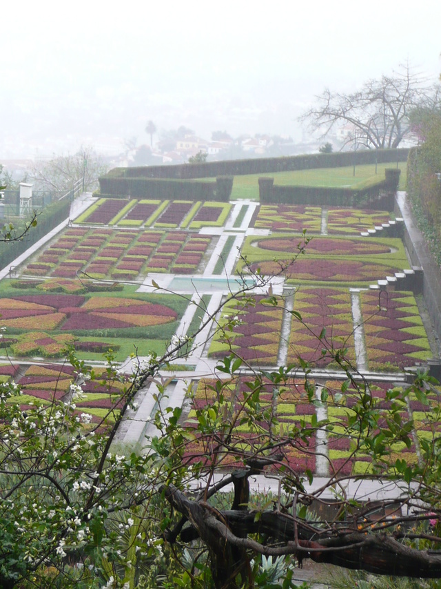 Ogród botaniczny w Funchal