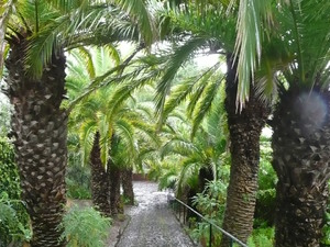 Ogród botaniczny w Funchal