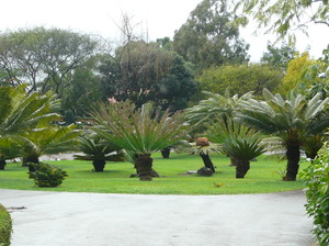 Ogród botaniczny w Funchal