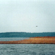 Jezioro Niegocin