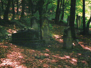 Kazimierz Dolny - cmentarz żydowski