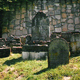 Kazimierz Dolny - cmentarz żydowski