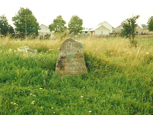 Tykocin - cmentarz żydowski