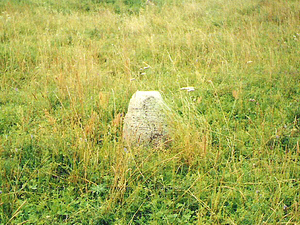 Tykocin - cmentarz żydowski