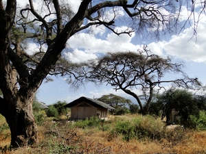 Namiow w Amboseli Sentrim Camp