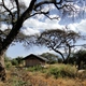 Namiow w Amboseli Sentrim Camp