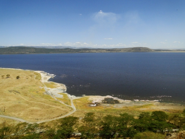 Jezioro Nakuru 