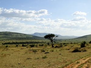 Krajobrazy Masai Mara