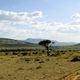 Krajobrazy Masai Mara