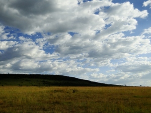 Krajobrazy Masai Mara