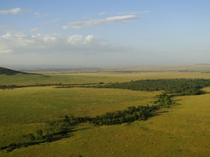 Masai Mara z góry