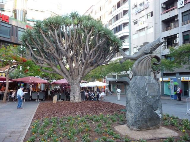 Santa Cruz de Tenerife