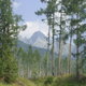 Vysoké Tatry