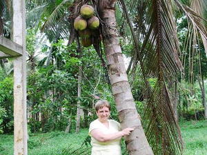 owoce kokosowe