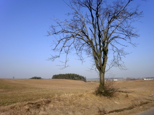 Wiosna - okolice Lubawy