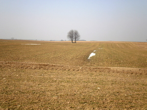 Wiosna - okolice Lubawy