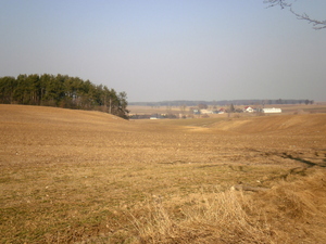 Wiosna - okolice Lubawy