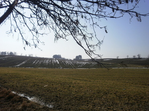 Wiosna - okolice Lubawy