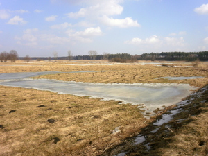 Wiosna - okolice Lubawy