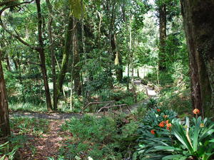 ogród botaniczny w Nuwara Eliya