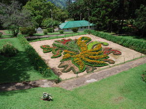 ogród botaniczny w Nuwara Eliya