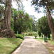 ogród botaniczny w Nuwara Eliya