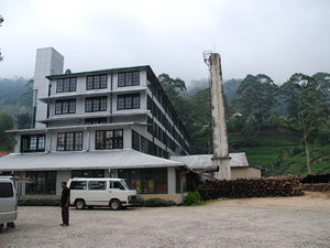 fabryka herbaty