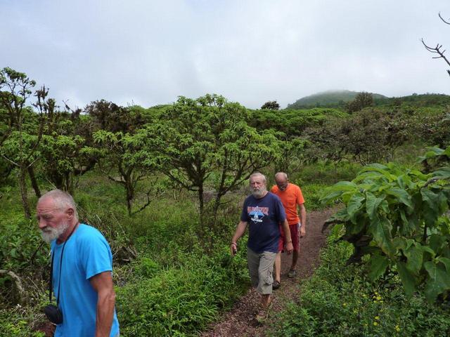 Galapagos