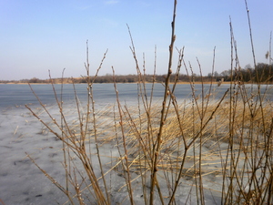 Wiosna - okolice Prabut