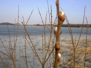 Wiosna - okolice Prabut