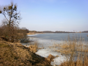 Wiosna - okolice Prabut