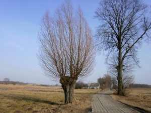 Wiosna - okolice Prabut