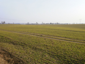Wiosna - okolice Prabut