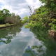 fosa