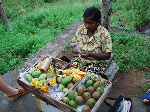 sprzedawczyni mango