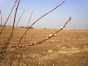 Wiosna - okolice Lubawy