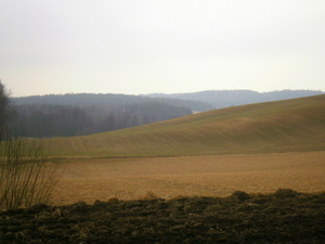 Wiosna - okolice Lubawy
