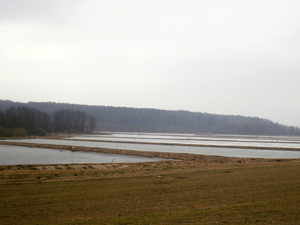 Wiosna - okolice Lubawy