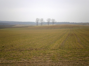 Wiosna - okolice Lubawy
