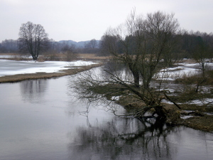 Wiosna - okolice Lubawy