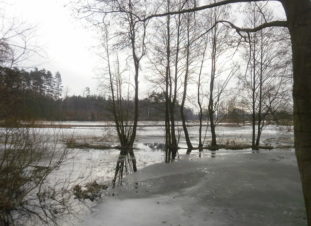Zima - okolice Lubawy
