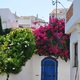 Dsc 0090