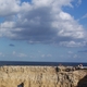 Klif