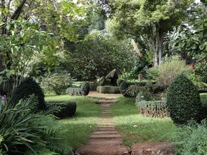 Quinta do Palheiro Ferreiro