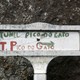 W drodze na szczyt Pico Ruivo