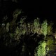 Groty Świętego Wincentego w São Vincente 