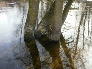 Wiosna - Brodnica